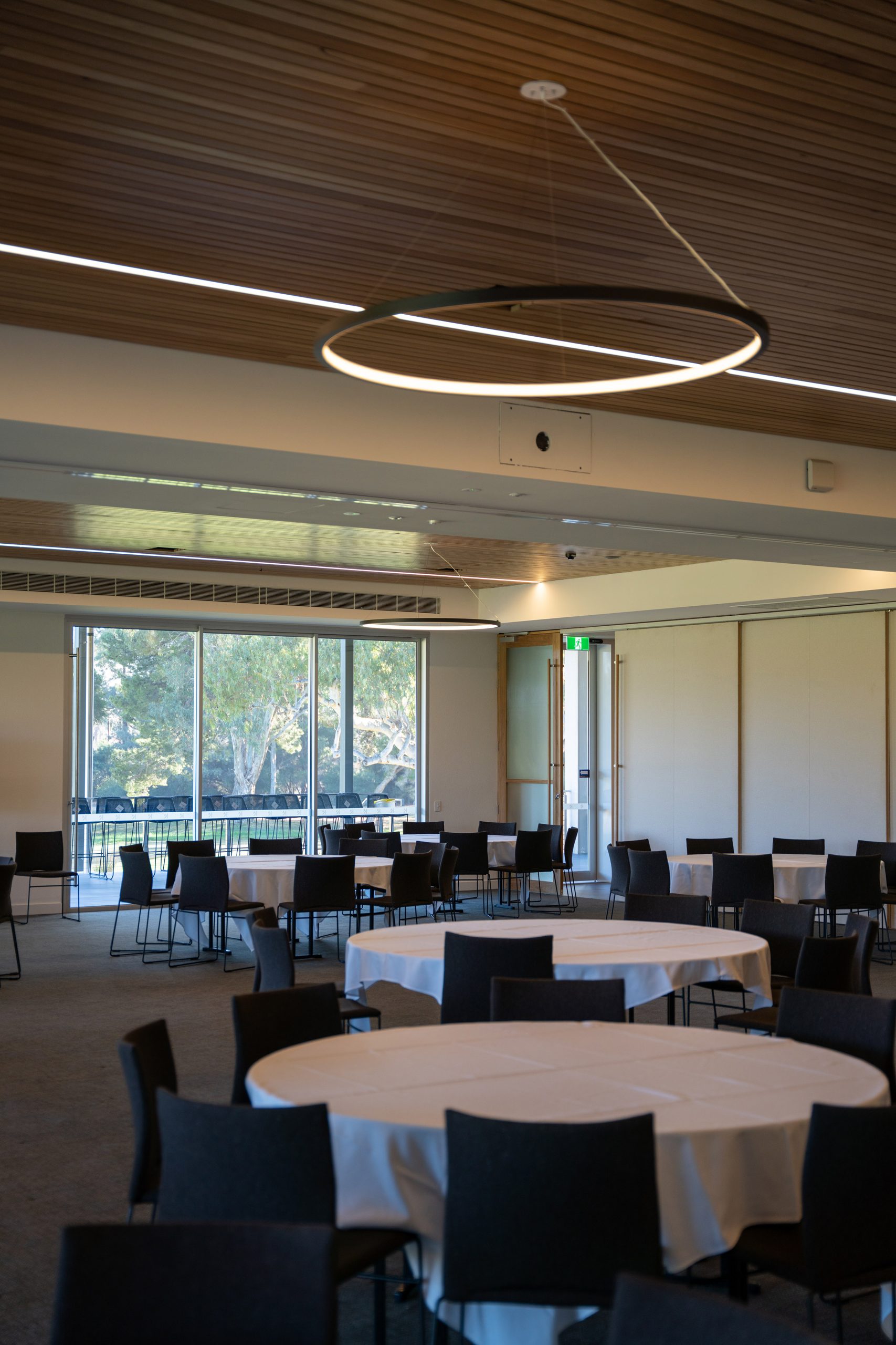 Morlock timber Ceiling