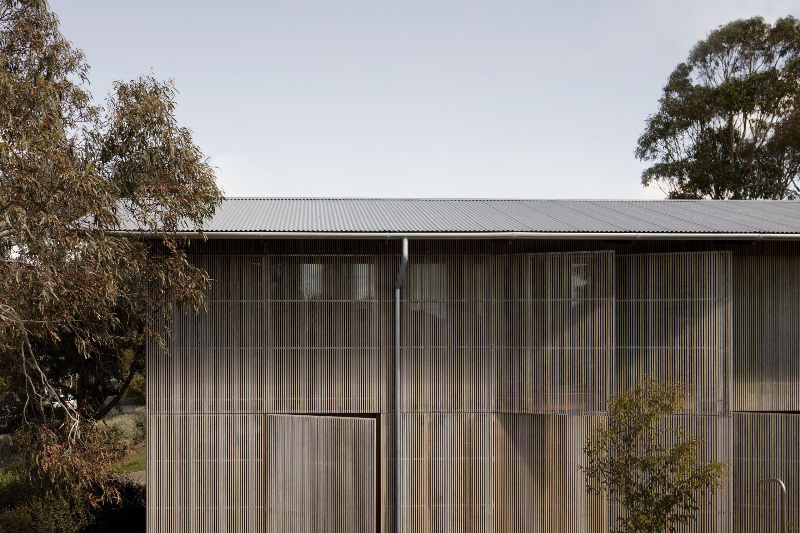How architects take inspiration from nature