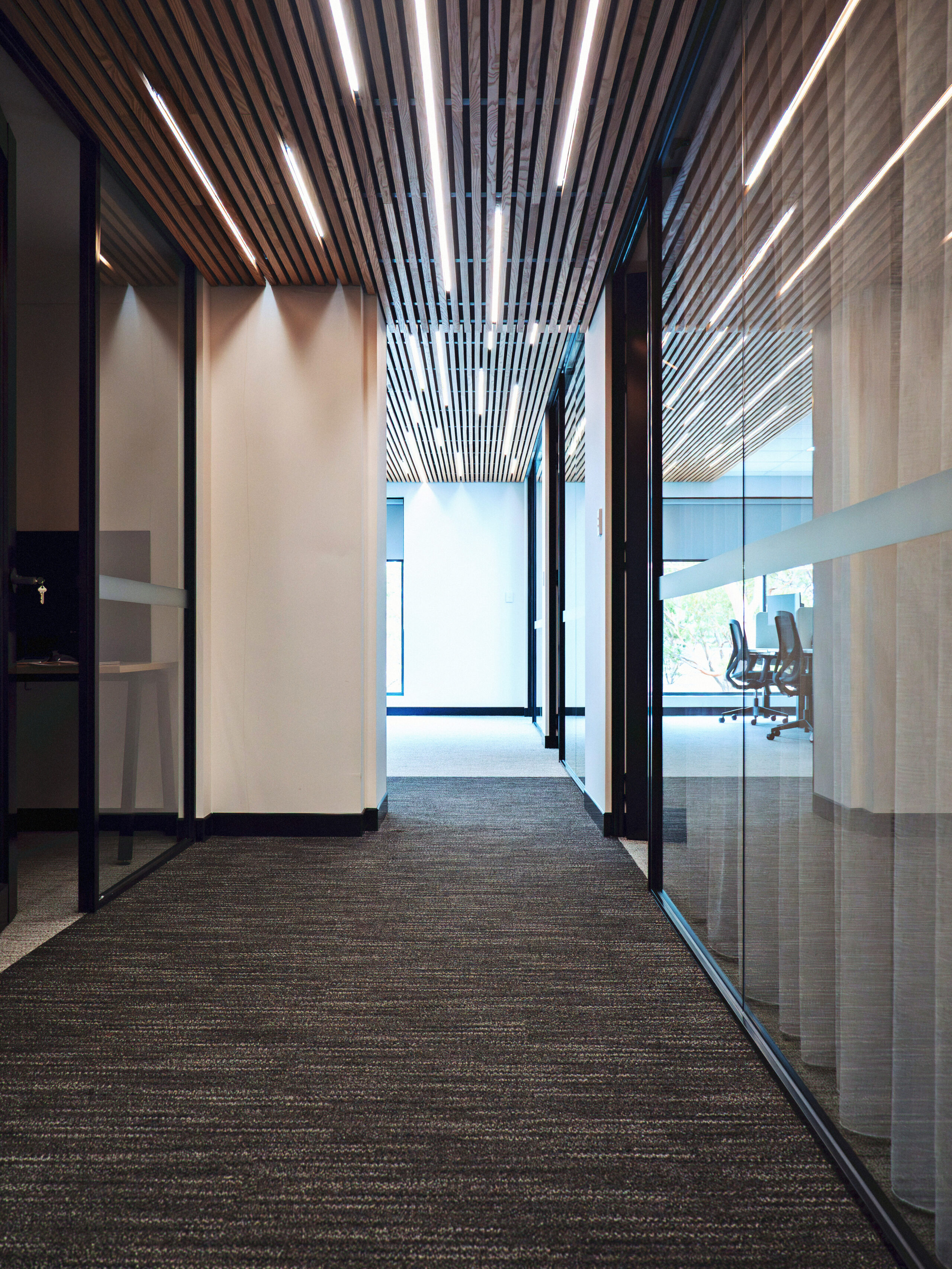 Interior of Mortlock Timber hallway of Mortlock Timber building showing office spaces and windows